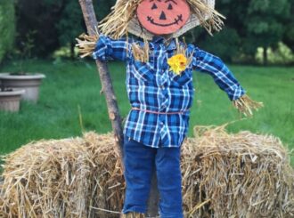 Scarecrow 8 C