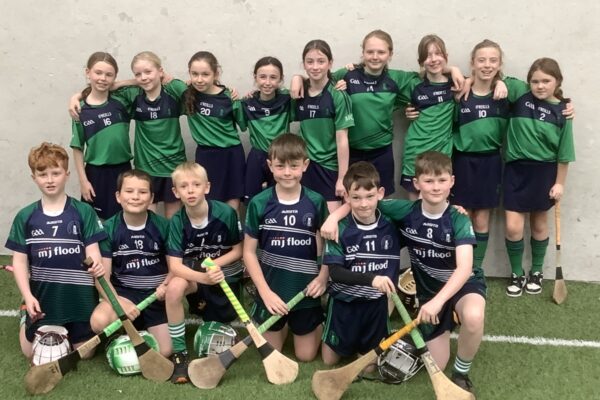 Mixed Hurling & Camogie Games