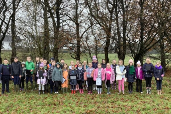 Primary 6 Take a Nature Walk