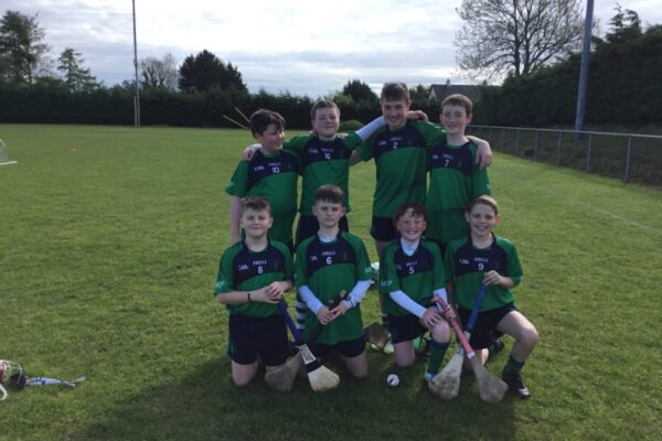 Cumann na mBunscol 7-a-side hurling