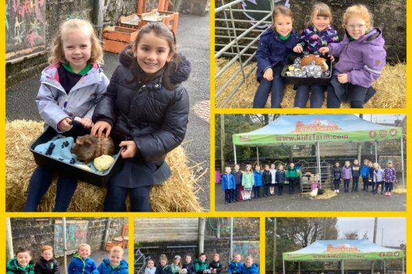 Kidz Farm Visit Primary 2