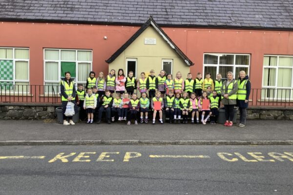 Primary 3 Houses and Homes