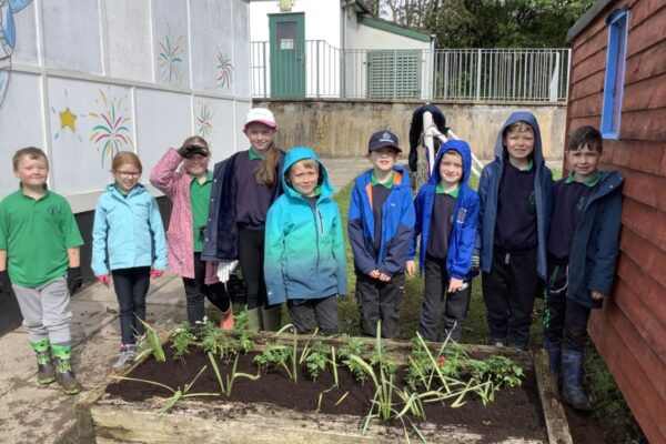 'Green Fingers' in Primary 4