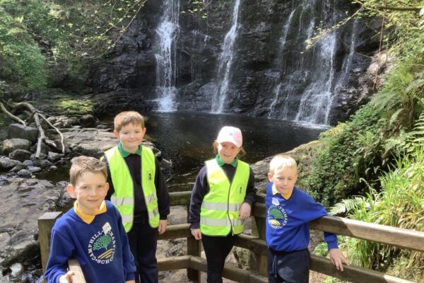 Primary 3 Shared Education Trip to Glenariffe Forest Park