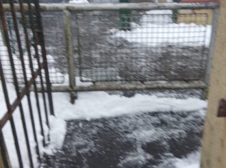 0921924F Cb90 4Cfd B718 A16Fd37A080C