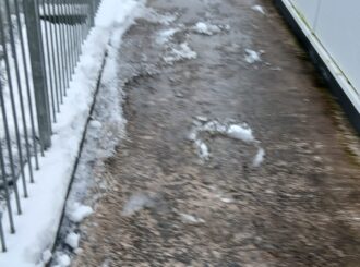 55E919Dd 7Dd5 4E14 96Bb D37D6Aadb172