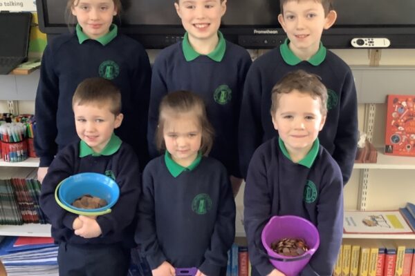 Trócaire Collection Week 2