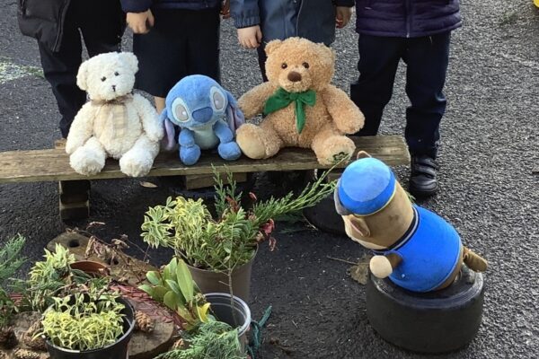 A Teddy Bears' Picnic in Primary 1